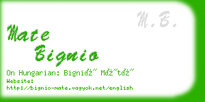 mate bignio business card